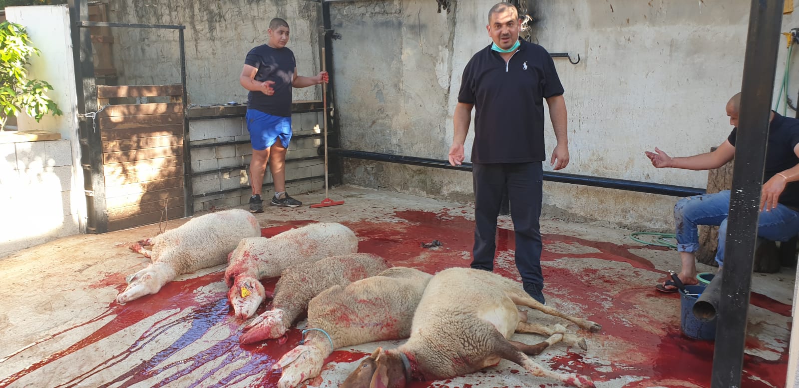 WhatsApp Image 2020-06-25 at 5.48.14 PM.jpeg.jpeg